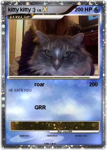 Pokemon kitty kitty ;)