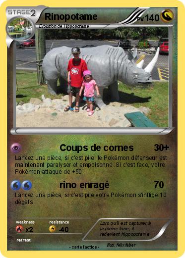 Pokemon Rinopotame