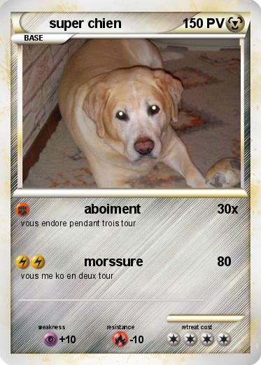 Pokemon super chien