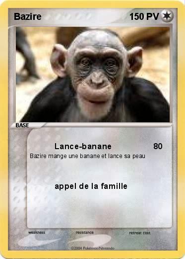 Pokemon Bazire