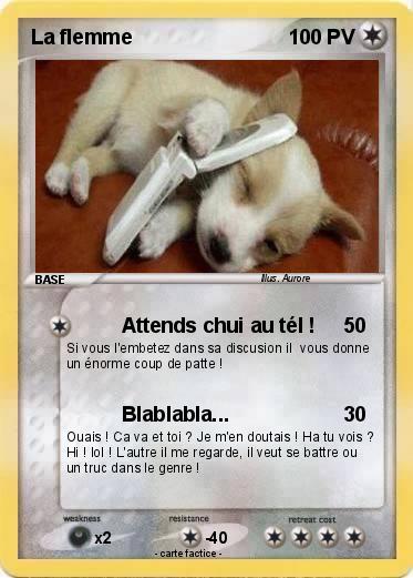Pokemon La flemme