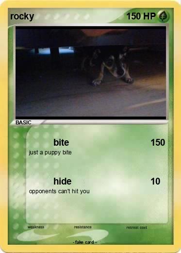 Pokemon rocky