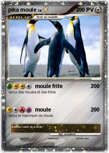 Pokemon pika moule