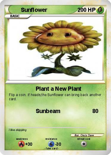 Pokemon Sunflower
