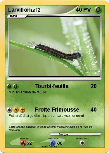 Pokemon Larvillon