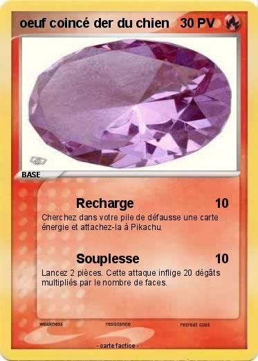 Pokemon oeuf coincé der du chien