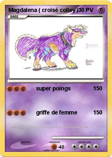 Pokemon Magdalena ( croisé colley )