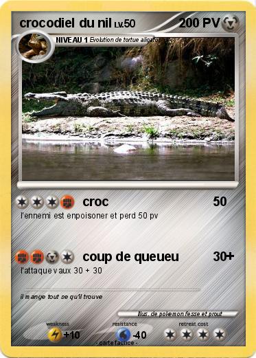 Pokemon crocodiel du nil