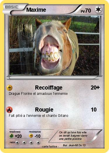 Pokemon Maxime