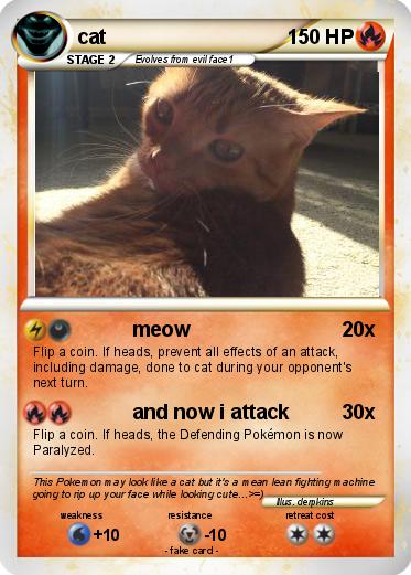 Pokemon cat
