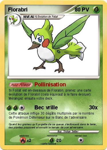 Pokemon Florabri