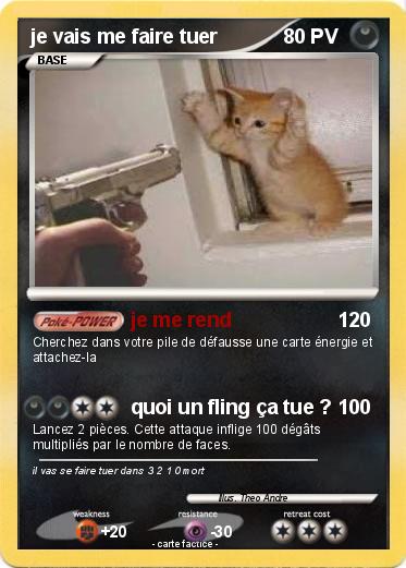 Pokemon je vais me faire tuer