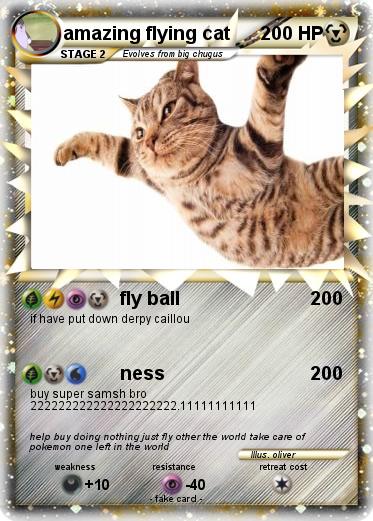 Pokemon amazing flying cat