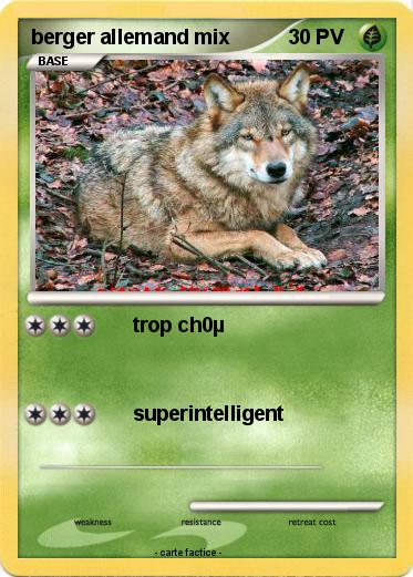 Pokemon berger allemand mix