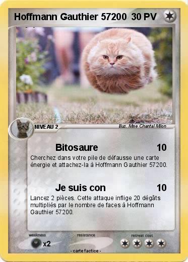 Pokemon Hoffmann Gauthier 57200