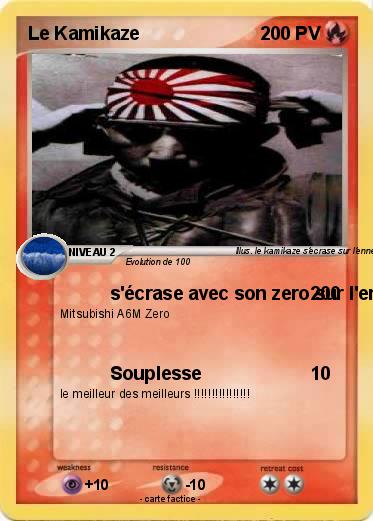 Pokemon Le Kamikaze