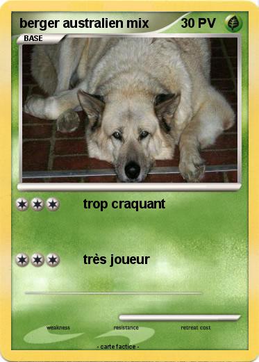 Pokemon berger australien mix