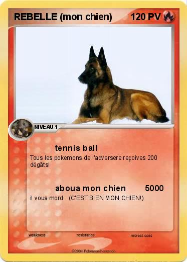 Pokemon REBELLE (mon chien)
