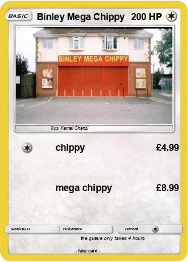 Pokemon Binley Mega Chippy