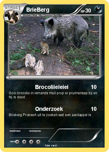 Pokemon BrieBerg