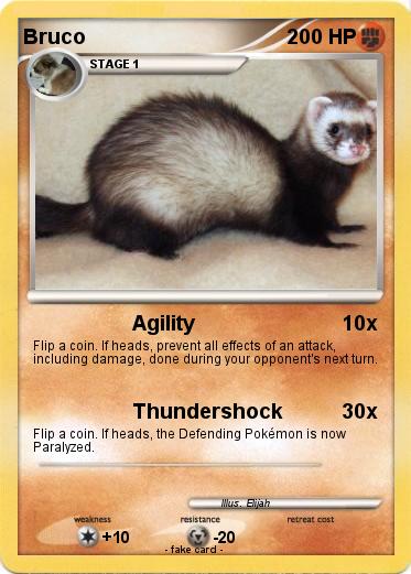 Pokemon Bruco