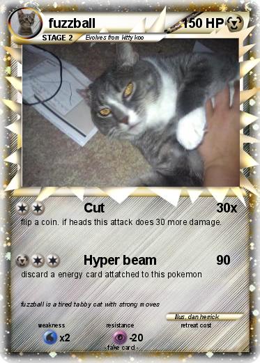Pokemon fuzzball