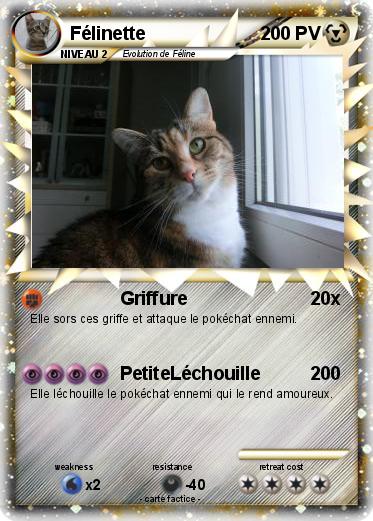 Pokemon Félinette