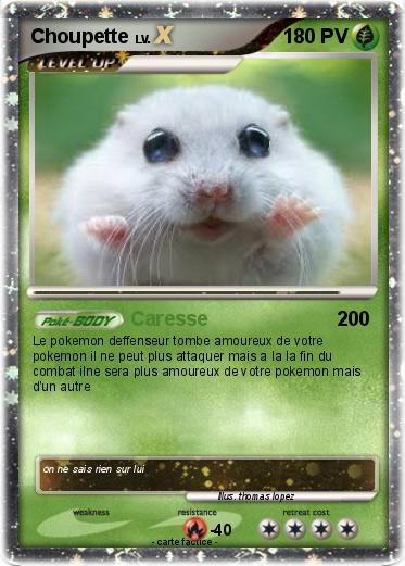 Pokemon Choupette
