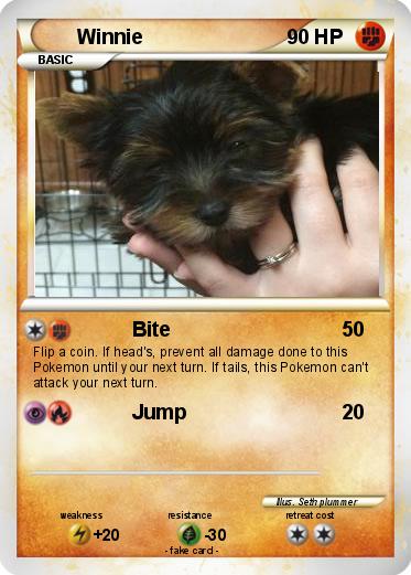 Pokemon Winnie