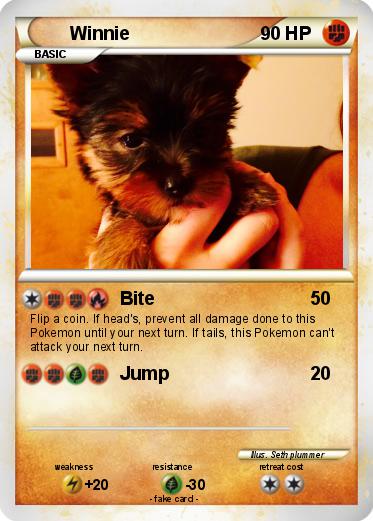 Pokemon Winnie
