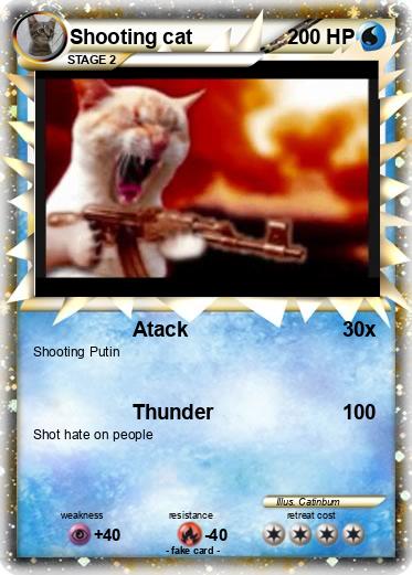 Pokemon Shooting cat