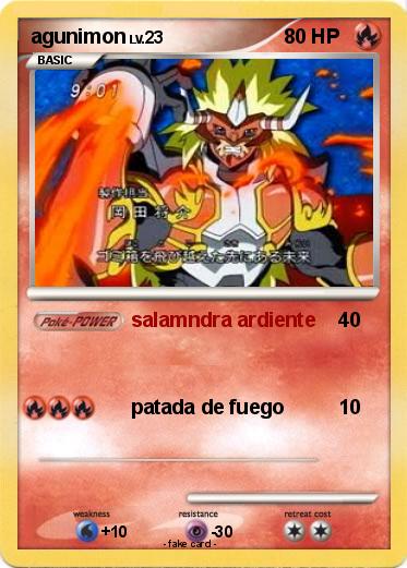 Pokemon agunimon