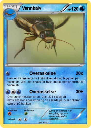 Pokemon Vannkalv