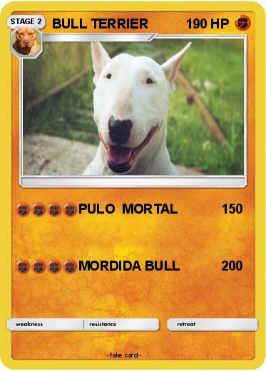 Pokemon BULL TERRIER
