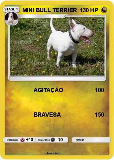 Pokemon MINI BULL TERRIER
