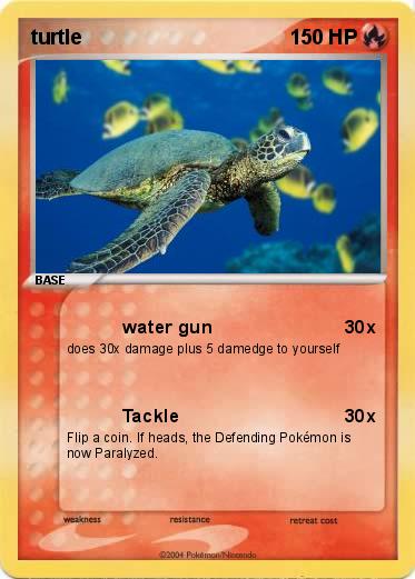 Pokemon turtle