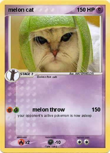 Pokemon melon cat