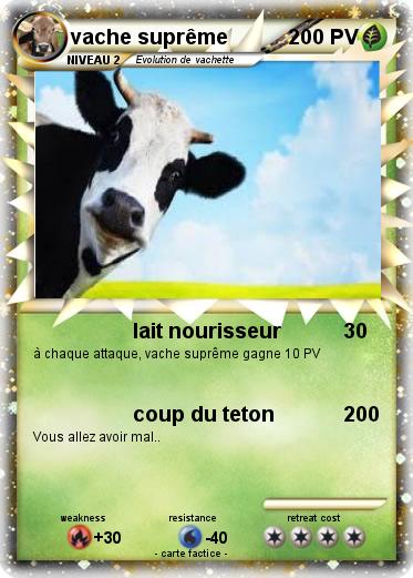 Pokemon vache suprême