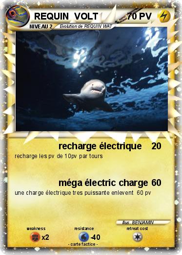 Pokemon REQUIN  VOLT