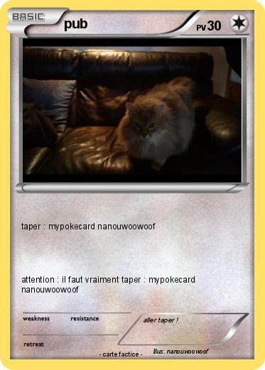 Pokemon pub