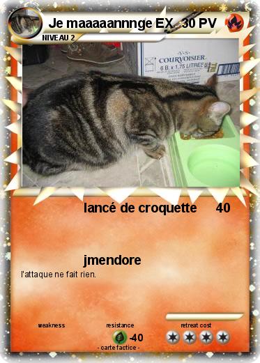 Pokemon Je maaaaannnge EX