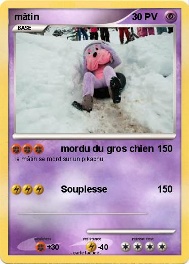 Pokemon mâtin