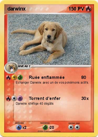Pokemon darwinx