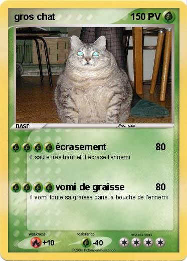 Pokemon gros chat
