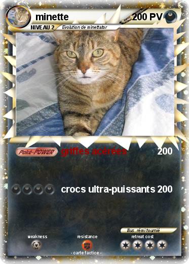 Pokemon minette