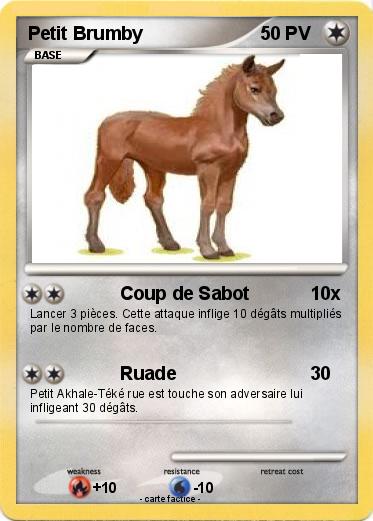 Pokemon Petit Brumby