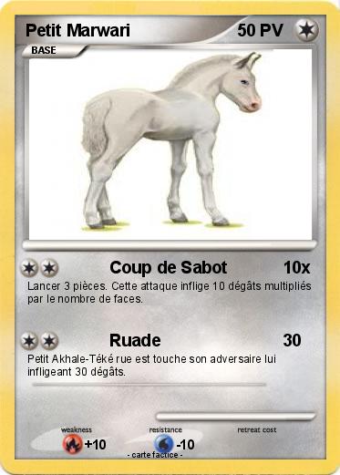 Pokemon Petit Marwari