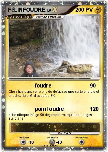 Pokemon FéLINFOUDRE