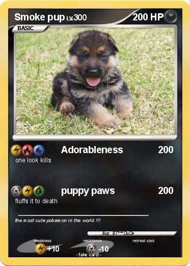 Pokemon Smoke pup