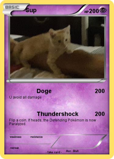 Pokemon Sup